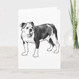 Happy Wishes, Dog Art Card