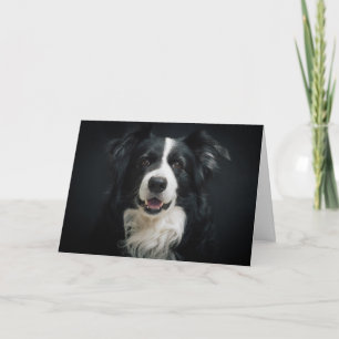 Happy WoofDay Card