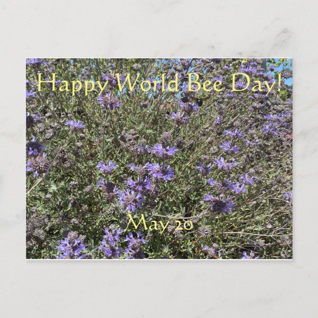 Happy World Bee Day! Postcard (Front)