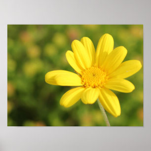 Happy Yellow Flower A3 Poster
