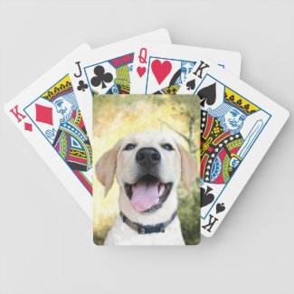 Happy yellow lab deck of cards