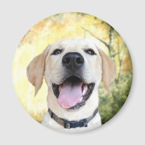 Happy Yellow Lab Magnet