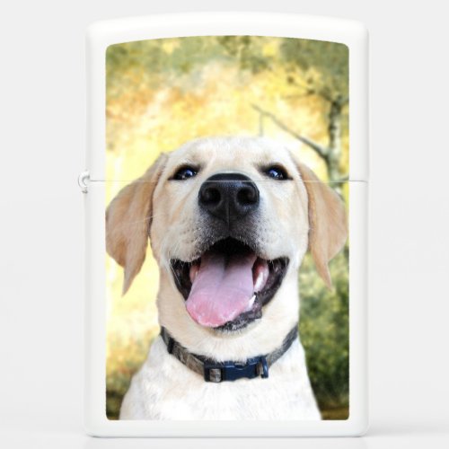 Happy yellow labrador retriever zippo lighter