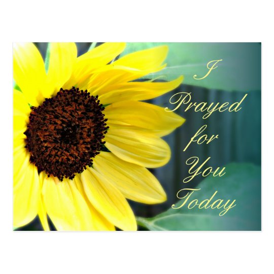 Happy Yellow Sunflower Thinking of You Postcard