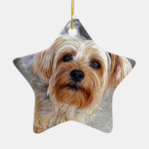 Happy Yorkie Puppy Ceramic Ornament