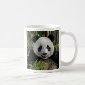 Happy young panda, China Coffee Mug