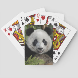Happy young panda, China Poker Cards