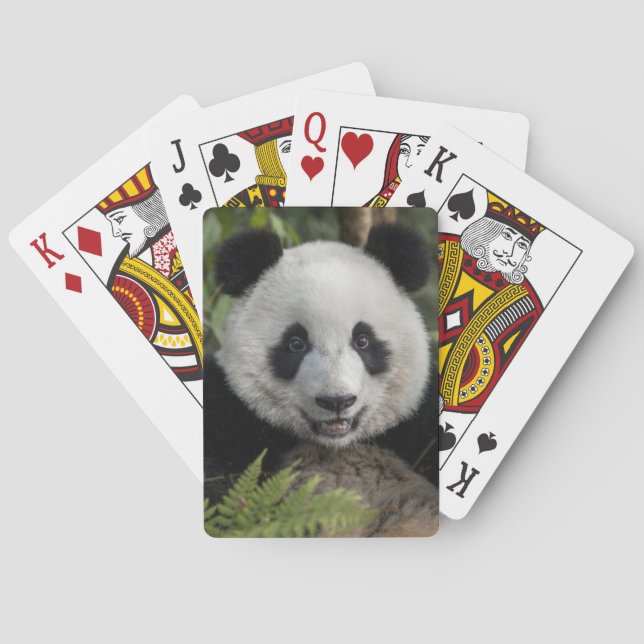 Happy young panda, China Poker Cards (Back)