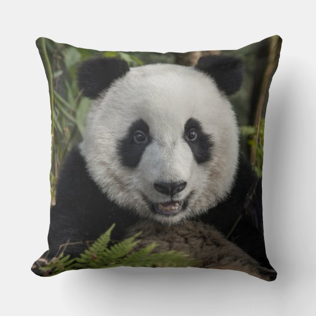Happy young panda, China Throw Pillow (Front)