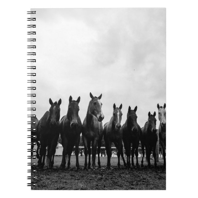 HARAS LA POLACA NOTEBOOK (Front)