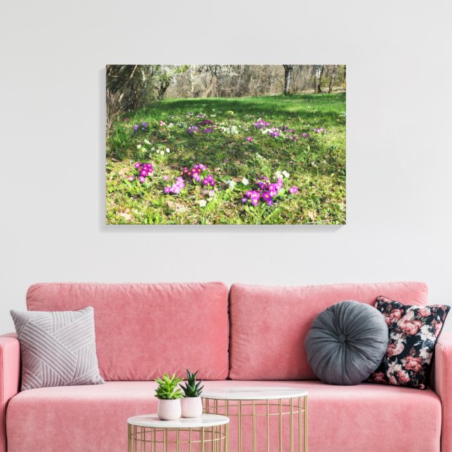 Harbinger of Spring  Canvas Print (Insitu(LivingRoom))