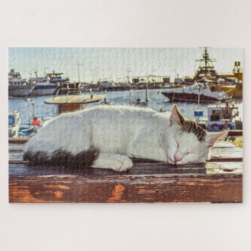 harbor cat puzzle