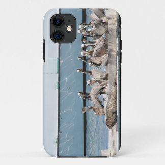 Harbor Friends iPhone 11 Case