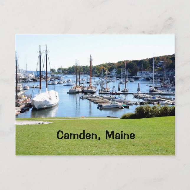 harbor in Camden, Maine Postcard (Front)