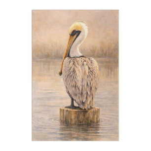 Harbor Pelican Coastal Wildlife Acrylic Art
