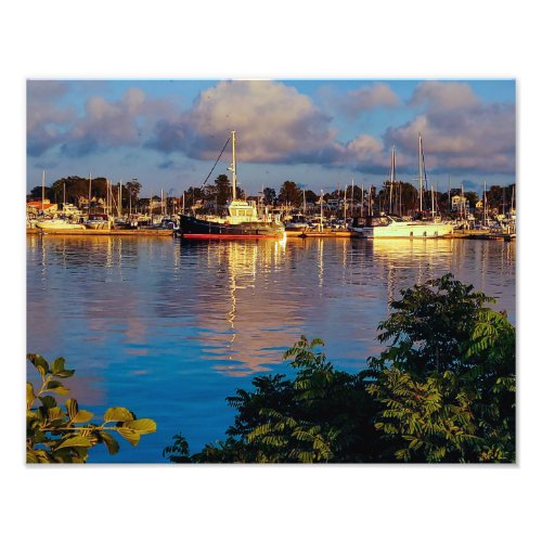 Harbor Reflection Photo Print
