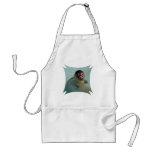 Harbor Seal Apron
