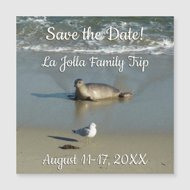 Harbor Seal at La Jolla California (Front)