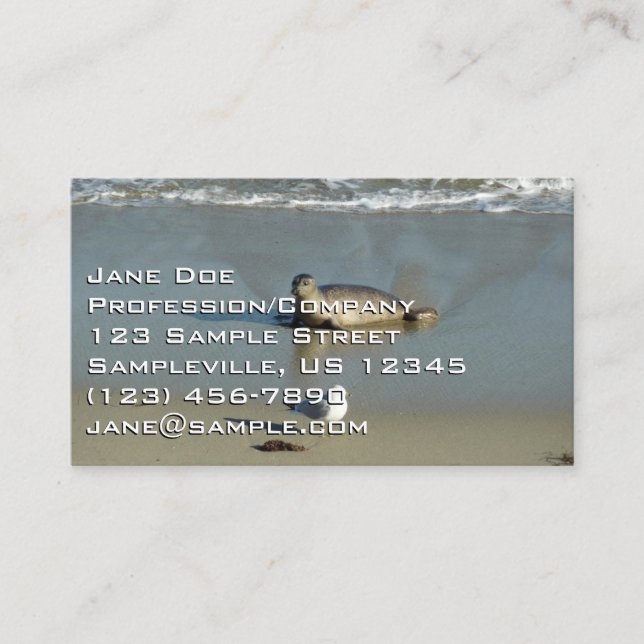 Harbor Seal at La Jolla California Business Card (Front)