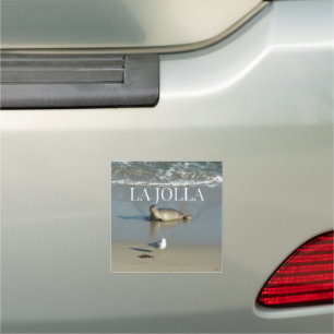 Harbor Seal at La Jolla California Car Magnet