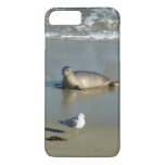 Harbor Seal at La Jolla California iPhone 8 Plus/7 Plus Case