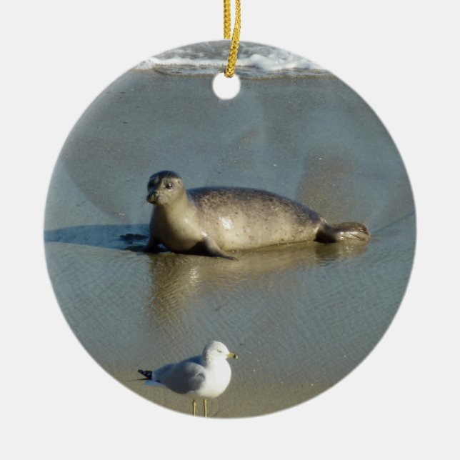 Harbor Seal at La Jolla California Ceramic Ornament (Front)
