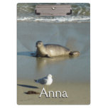 Harbor Seal at La Jolla California Clipboard