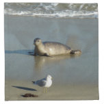 Harbor Seal at La Jolla California Cloth Napkin