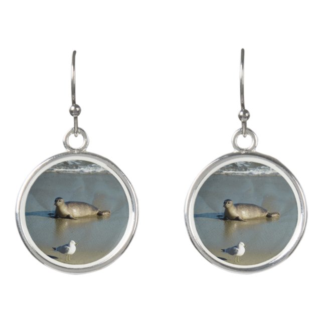 Harbor Seal at La Jolla California Earrings (Front)