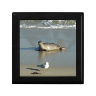 Harbor Seal at La Jolla California Gift Box