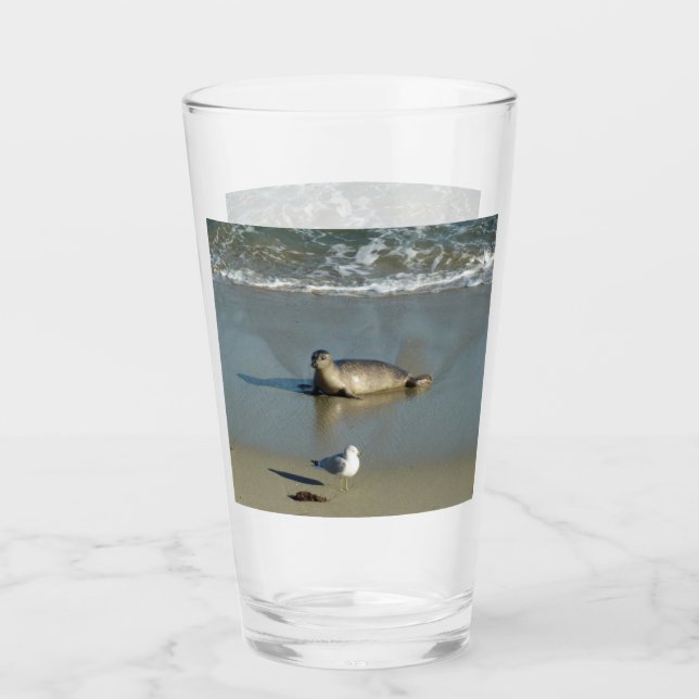 Harbor Seal at La Jolla California Glass (Front)