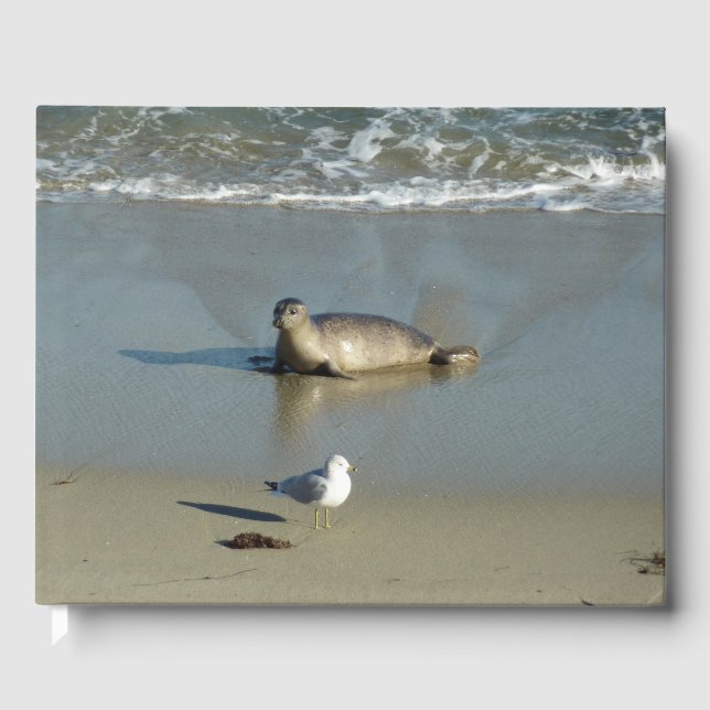 Harbor Seal at La Jolla California Guest Book (Front)