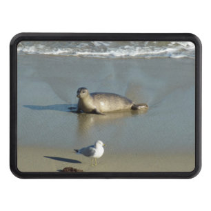 Harbor Seal at La Jolla California Hitch Cover