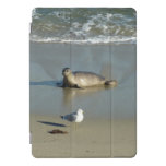Harbor Seal at La Jolla California iPad Pro Cover