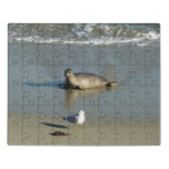Harbor Seal at La Jolla California Jigsaw Puzzle