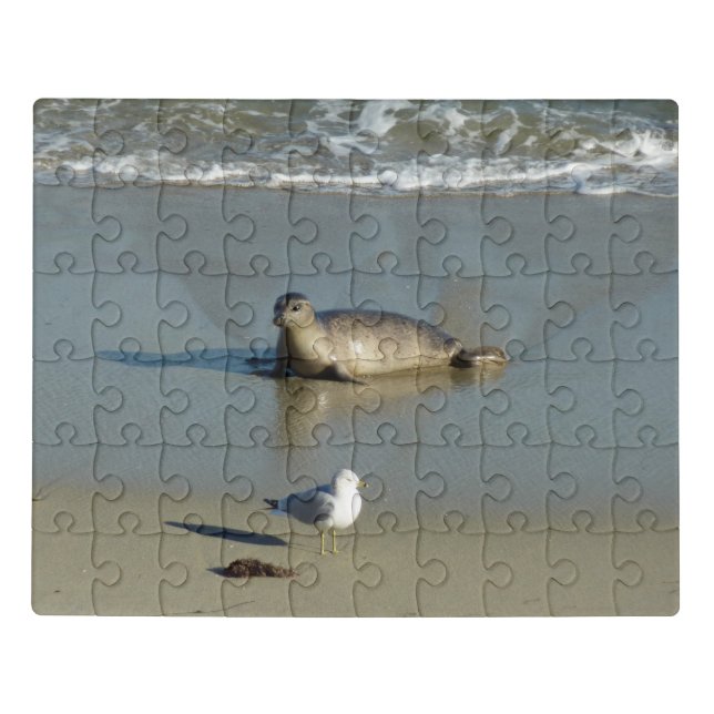 Harbor Seal at La Jolla California Jigsaw Puzzle (Puzzle Horizontal)