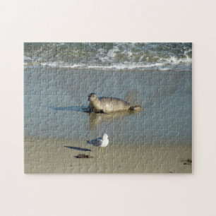 Harbor Seal at La Jolla California Jigsaw Puzzle
