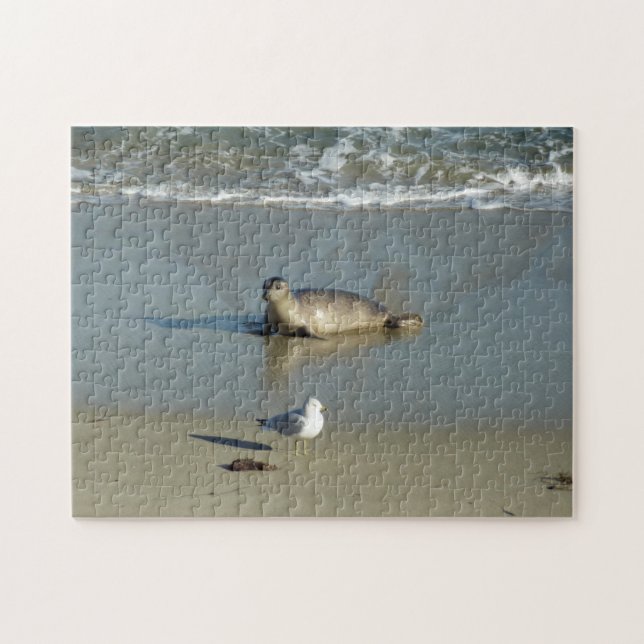 Harbor Seal at La Jolla California Jigsaw Puzzle (Horizontal)