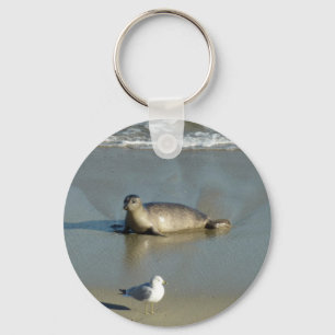 Harbor Seal at La Jolla California Keychain