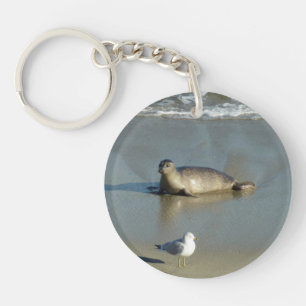 Harbor Seal at La Jolla California Keychain
