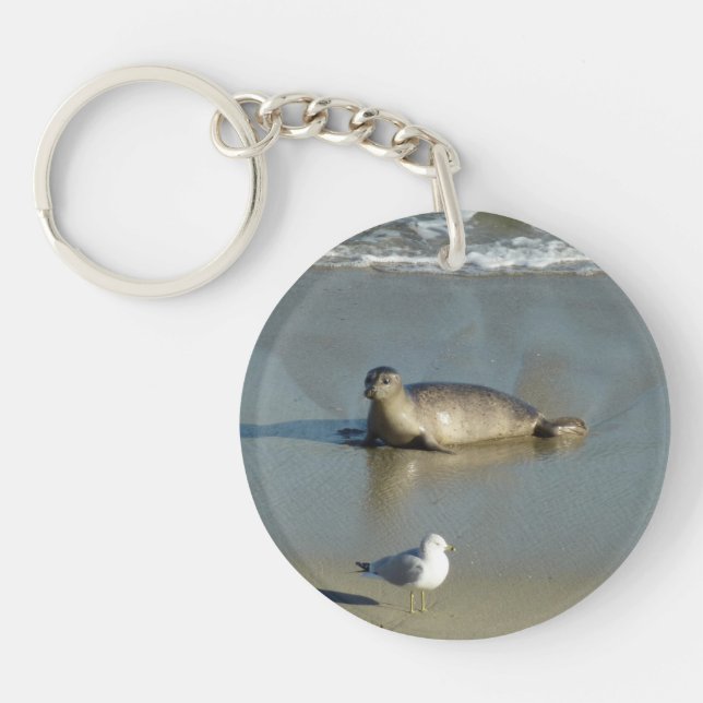 Harbor Seal at La Jolla California Keychain (Front)