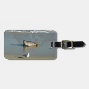 Harbor Seal at La Jolla California Luggage Tag