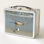 Harbor Seal at La Jolla California Metal Lunch Box