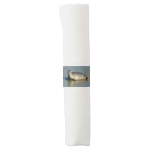 Harbor Seal at La Jolla California Napkin Bands