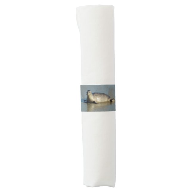 Harbor Seal at La Jolla California Napkin Bands (Front)