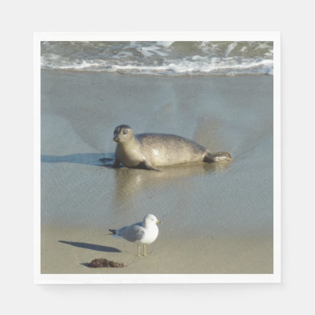 Harbor Seal at La Jolla California Napkins (Front)