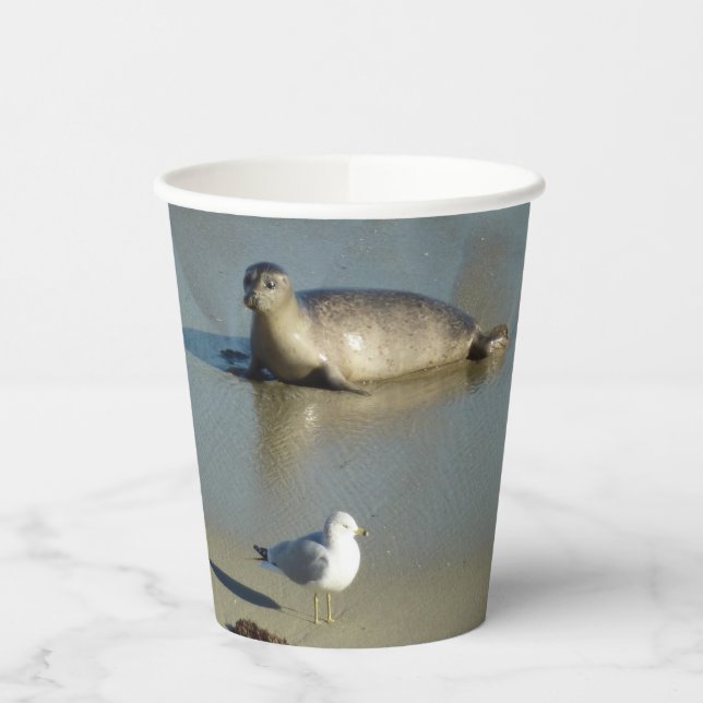 Harbor Seal at La Jolla California Paper Cups (Left)