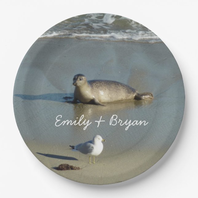 Harbor Seal at La Jolla California Paper Plates (Front)