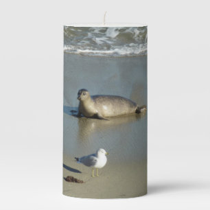 Harbor Seal at La Jolla California Pillar Candle