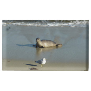 Harbor Seal at La Jolla California Place Card Holder